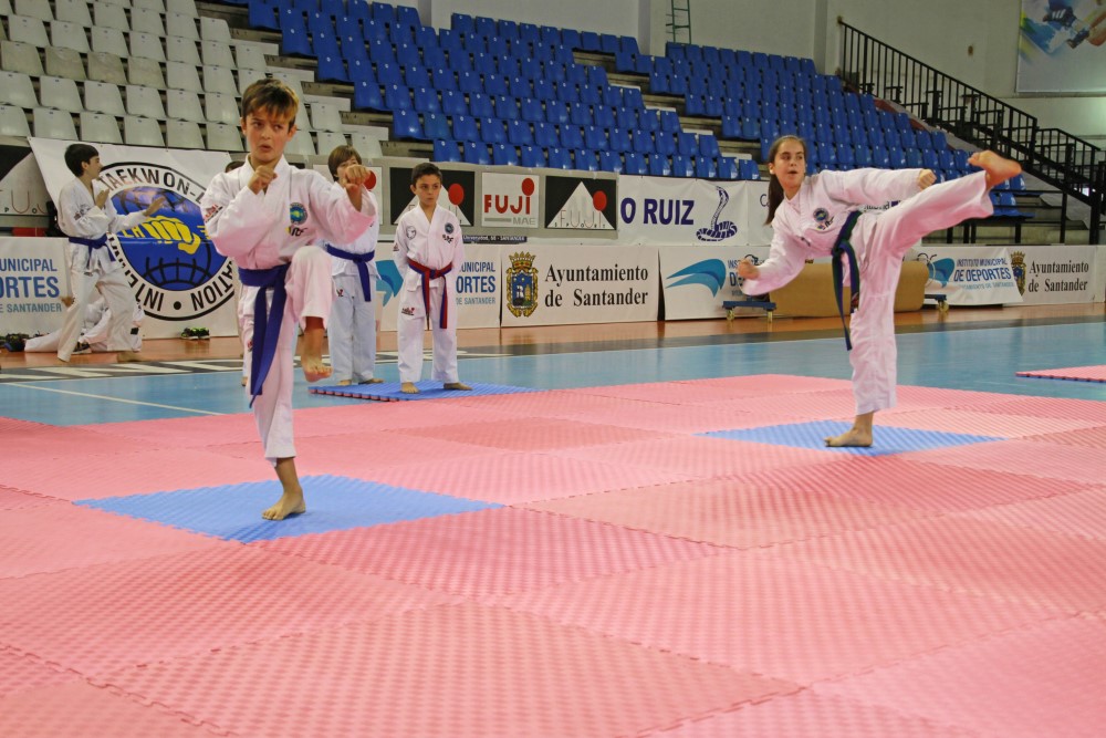 Taekwondo Dic 2016 (208).jpg